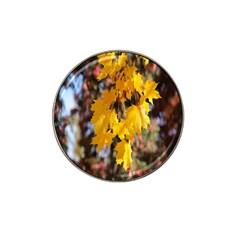 Amazing Arrowtown Autumn Leaves Hat Clip Ball Marker (10 Pack) by artworkshop