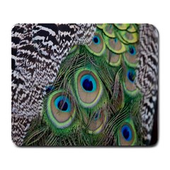 Peacock Bird Feather Colourful Large Mousepad by Jancukart