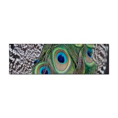 Peacock Bird Feather Colourful Sticker Bumper (10 Pack) by Jancukart
