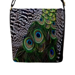 Peacock Bird Feather Colourful Flap Closure Messenger Bag (l) by Jancukart