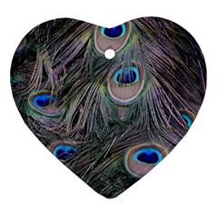 Peacock Feathers Peacock Bird Feathers Heart Ornament (two Sides) by Jancukart