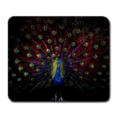 Peacock Feathers Large Mousepad by Wav3s