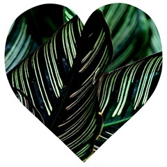 Calathea Leaves Strippe Line Wooden Puzzle Heart by Ravend