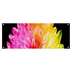 Abstract, Amoled, Back, Flower, Green Love, Orange, Pink, Banner And Sign 8  X 3  by nateshop