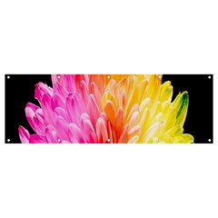 Abstract, Amoled, Back, Flower, Green Love, Orange, Pink, Banner And Sign 12  X 4  by nateshop
