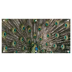 Peacock-feathers1 Banner And Sign 4  X 2  by nateshop