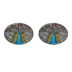 Peacock-feathers2 Cufflinks (oval) by nateshop