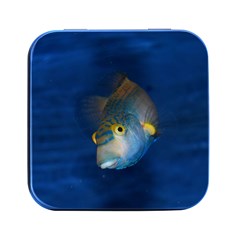 Fish Blue Animal Water Nature Square Metal Box (black) by Amaryn4rt