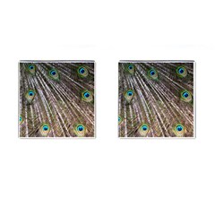 Peacock-feathers-pattern-colorful Cufflinks (square) by Amaryn4rt