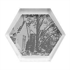 Hot Day In  Dallas-6 Hexagon Wood Jewelry Box by bestdesignintheworld