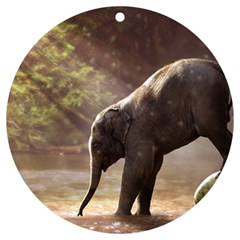 Baby Elephant Watering Hole Uv Print Acrylic Ornament Round by Sarkoni