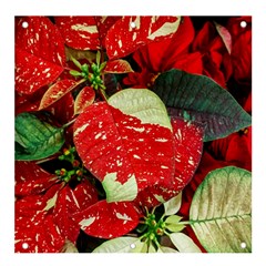Poinsettia Christmas Star Plant Banner And Sign 4  X 4  by Sarkoni