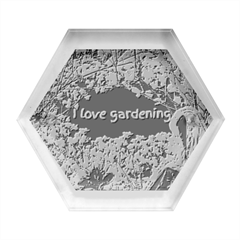 Garden Lover Hexagon Wood Jewelry Box by TShirt44