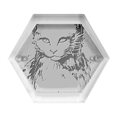 Cat Hexagon Wood Jewelry Box by saad11