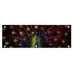 Beautiful Peacock Feather Banner And Sign 6  X 2  by Ket1n9