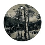 Dry Forest Landscape, Tierra Del Fuego, Argentina Round Ornament (Two Sides) Front