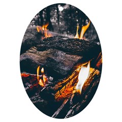 Wood Fire Camping Forest On Uv Print Acrylic Ornament Oval by Bedest