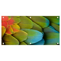 Parrot Feathers Texture Feathers Backgrounds Banner And Sign 4  X 2  by nateshop