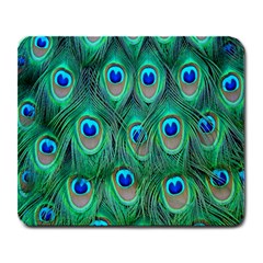 Feather, Bird, Pattern, Peacock, Texture Large Mousepad by nateshop