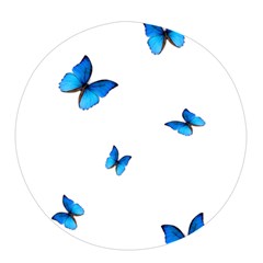 Butterfly-blue-phengaris Pop Socket by saad11