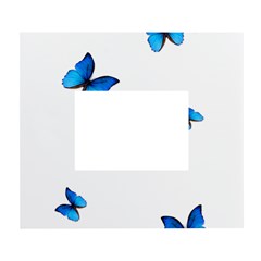 Butterfly-blue-phengaris White Wall Photo Frame 5  X 7  by saad11