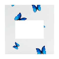 Butterfly-blue-phengaris White Box Photo Frame 4  X 6  by saad11