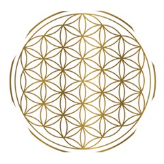 Gold Flower Of Life Sacred Geometry Wooden Puzzle Hexagon by Maspions